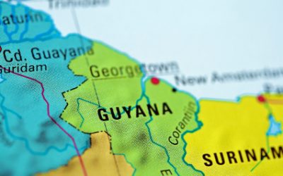 Alerio and Auracle Collaboration Identifies Four New Significant Exploration Targets at Tassawini