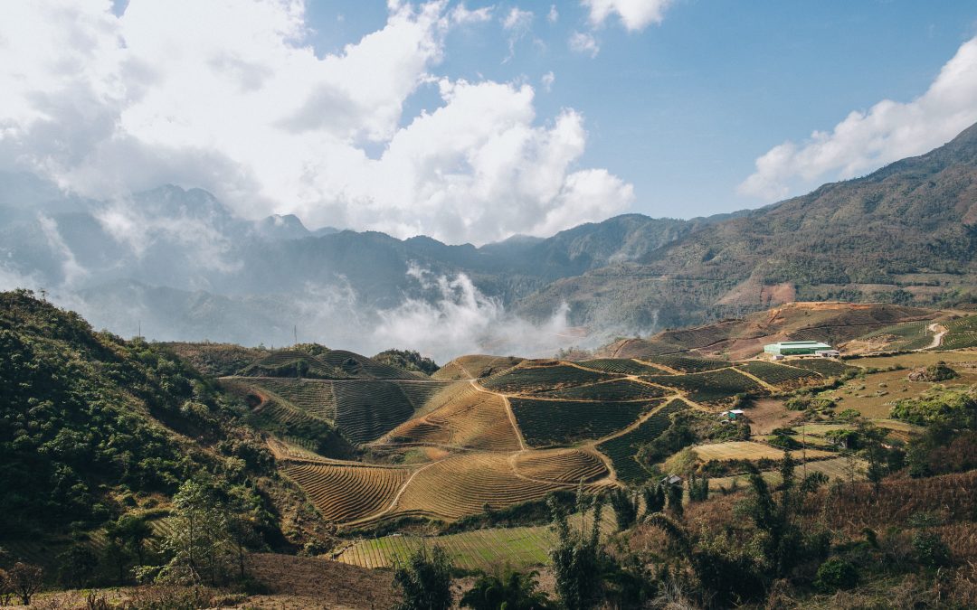 Alerio Gold Corp. Announces Property Purchase Agreement for Gold Properties in Guyana
